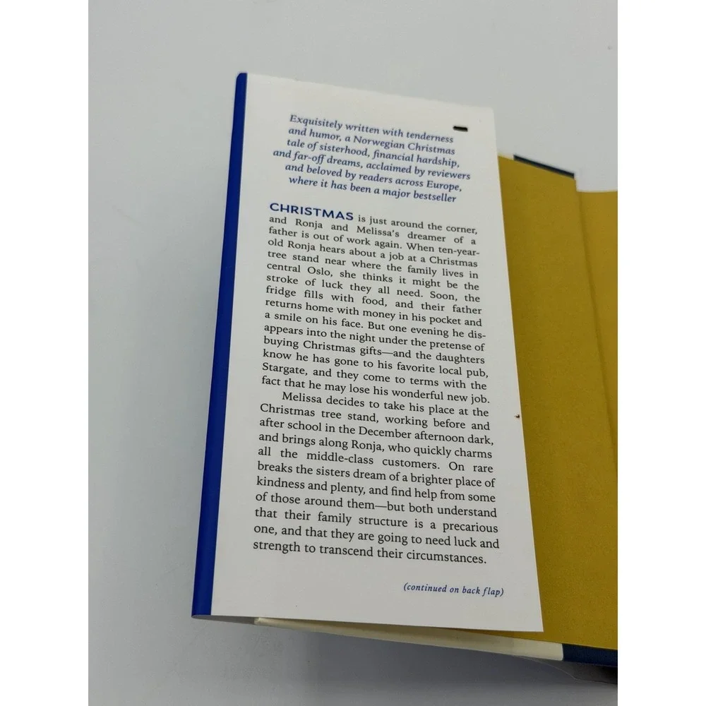 Brightly Shining Hardcover Ingvild Rishøi